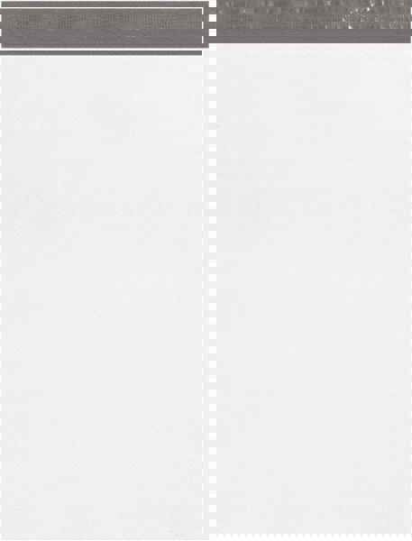 Courier Mailing Envelope: 20